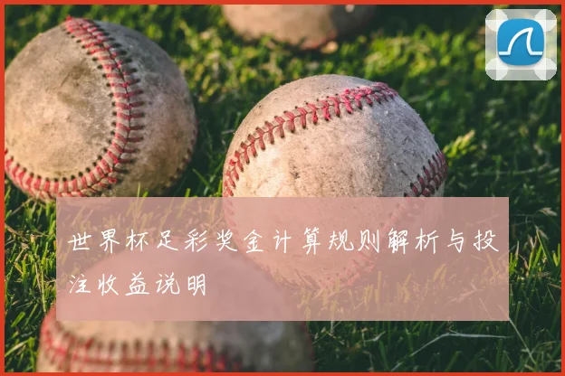 世界杯足彩奖金计算规则解析与投注收益说明
