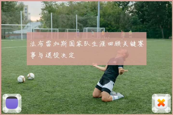 法布雷加斯国家队生涯回顾关键赛事与退役决定