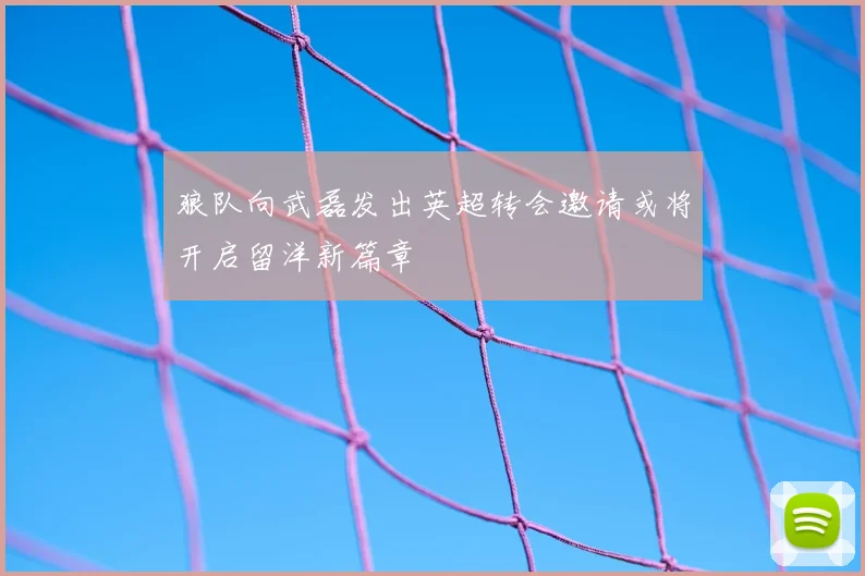 狼队向武磊发出英超转会邀请或将开启留洋新篇章